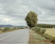 G331-33