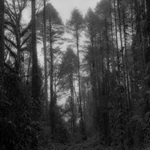 pemako-10