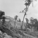 pemako-30