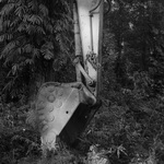 pemako-36